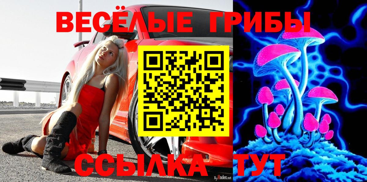 Галлюциногенные грибы MAGIC MUSHROOMS  Вход с VPN  Сургут 